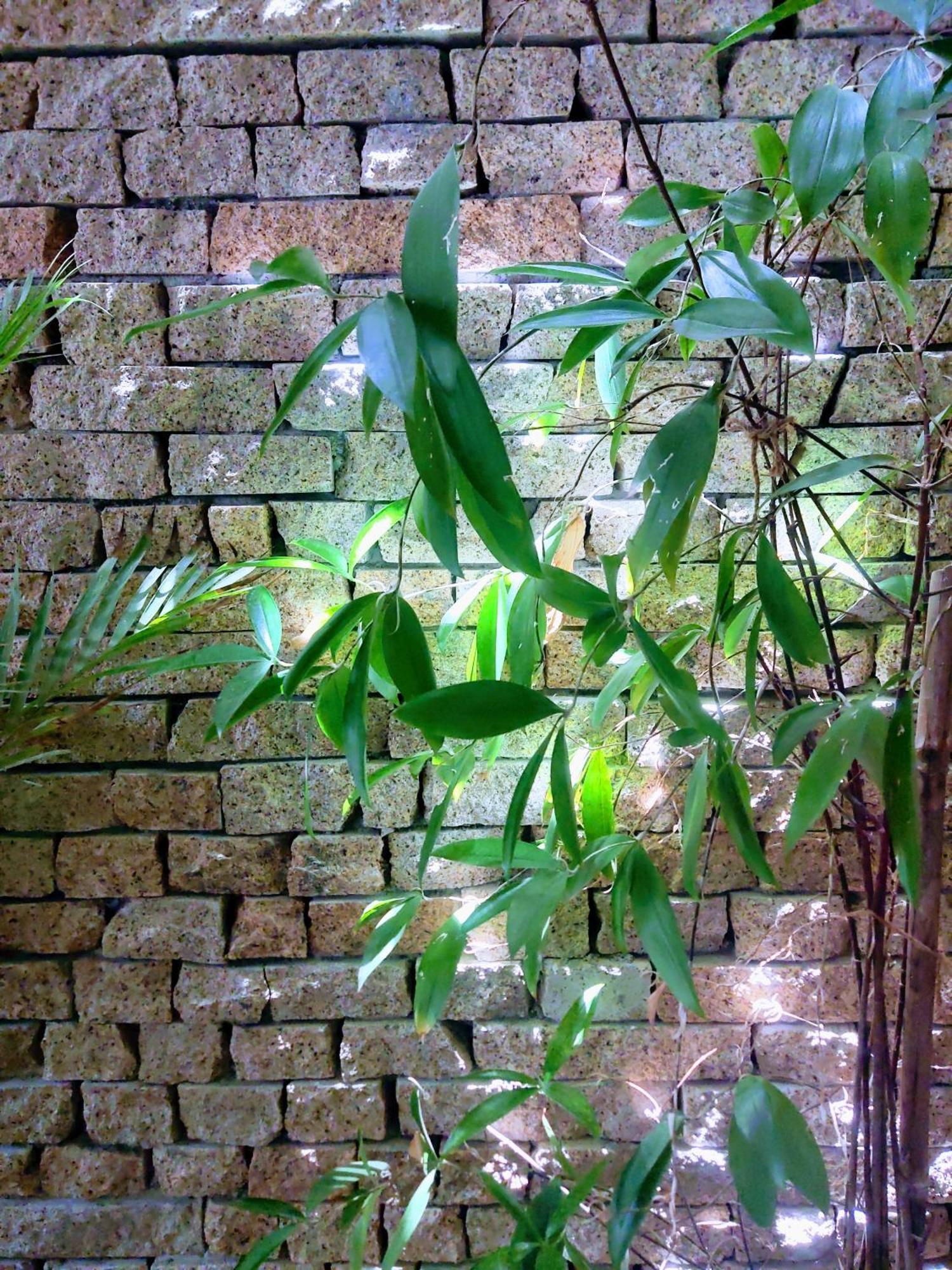 Nap Homestay Kinh Dinh Exterior foto